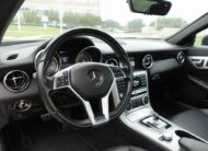 2016 Mercedes-Benz SLK-Class SLK 300